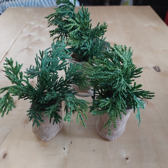 NEW WITH TAGS 3pcs At HOME Plants Set Burlap BAG  Small Greenery. (A) - Picture 3 of 4